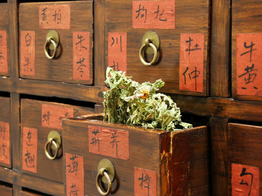 Traditional Chinese medicine herb cabinet representing the ancient origins of herbal supplements for men's health